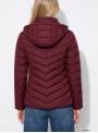 CHAQUETA PENNYE GRANATE TIFFOSI